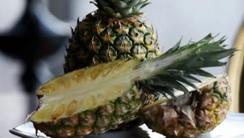 Наркоторговцы попытались провезти в Испанию 200 килограммов кокаина в ананасах