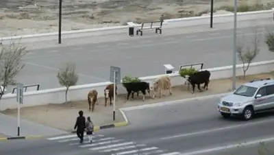 Zakon.kz, фото - Новости Zakon.kz от 29.10.2014 20:59