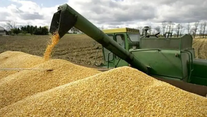 В текущем году в Казахстане собрали 20,8 млн тонн зерна в бункерном весе