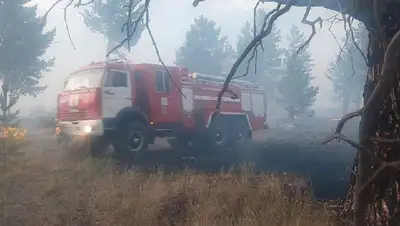 пожар в природном парке Семей Орманы, фото - Новости Zakon.kz от 22.06.2022 08:19