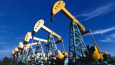 Zakon.kz, фото - Новости Zakon.kz от 03.01.2017 22:52