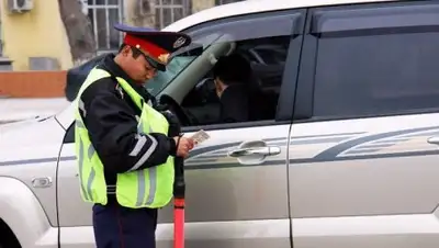 Qamshy.kz, фото - Новости Zakon.kz от 24.04.2018 13:42