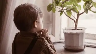 fb.ru, фото - Новости Zakon.kz от 26.09.2020 13:52