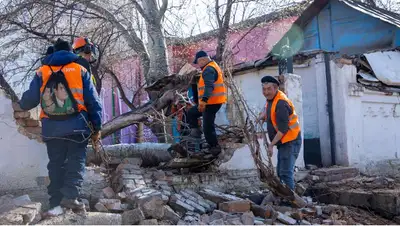 В Алматы 84 тысячи аварийных деревьев, фото - Новости Zakon.kz от 30.03.2022 18:54