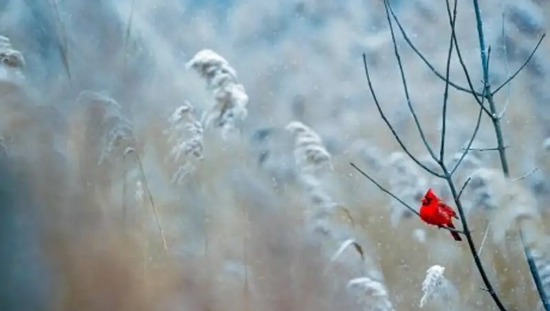 Туман, гололед и ветер ожидаются в нескольких регионах страны