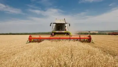 Zakon.kz, фото - Новости Zakon.kz от 27.07.2017 18:42