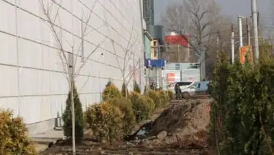 zakon.kz, фото - Новости Zakon.kz от 17.02.2021 11:14