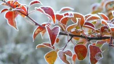 Zakon.kz, фото - Новости Zakon.kz от 06.11.2015 12:01