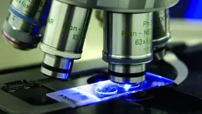 helioscope.ru, фото - Новости Zakon.kz от 12.04.2018 17:20