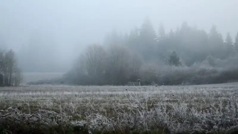 Субботние осадки ожидаются в Казахстане