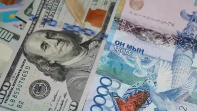 Zakon.kz, фото - Новости Zakon.kz от 27.02.2017 21:56