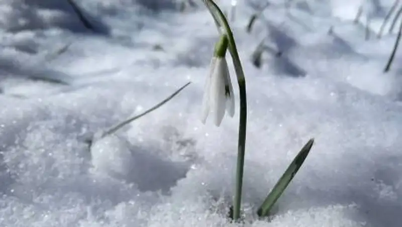 Морозные выходные ждут казахстанцев