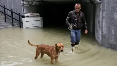 Zakon.kz, фото - Новости Zakon.kz от 25.06.2015 23:31