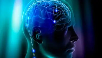 Zakon.kz, фото - Новости Zakon.kz от 28.11.2017 09:47