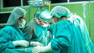 pixabay.com, фото - Новости Zakon.kz от 06.02.2019 11:25