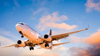 pinterest.ca, фото - Новости Zakon.kz от 06.08.2020 10:44