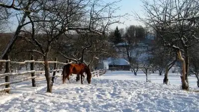 Фото: 1tulatv.ru, фото - Новости Zakon.kz от 20.12.2017 09:25