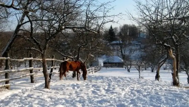 На большей части Казахстана в среду сохраняется погода без осадков
