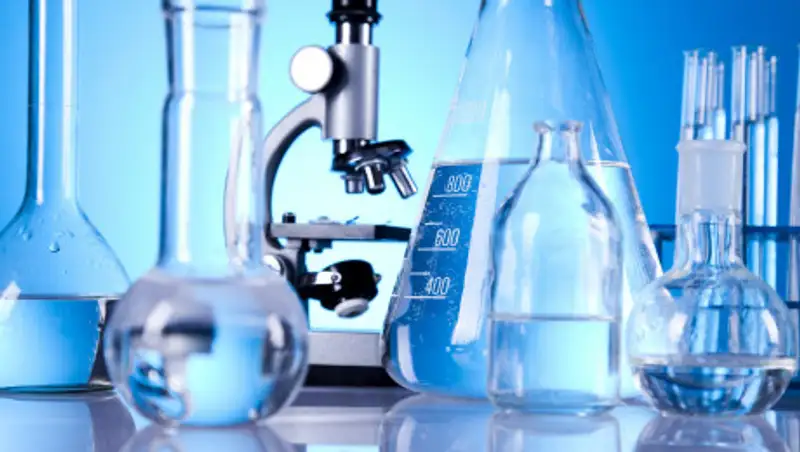 Смерть птиц на Алаколе - в "Казгидромет" провели химический анализ воды