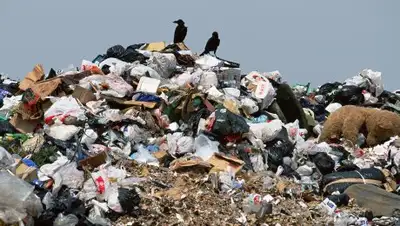 Liter.kz, фото - Новости Zakon.kz от 11.07.2018 13:35