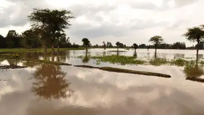 паводки, фото - Новости Zakon.kz от 21.08.2022 17:26