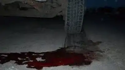 Zakon.kz, фото - Новости Zakon.kz от 15.02.2014 16:17