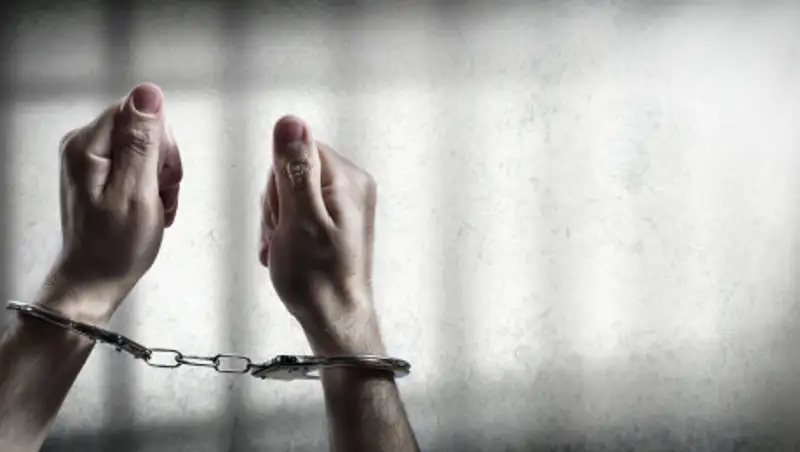 Из Грузии экстрадировали казахстанца, создавшего финансовую пирамиду