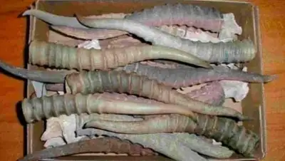 Zakon.kz, фото - Новости Zakon.kz от 27.10.2015 19:25