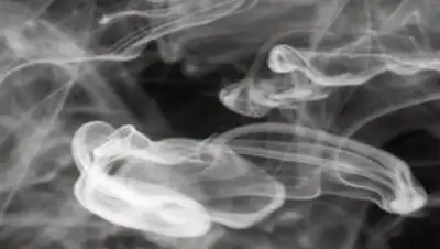 Zakon.kz, фото - Новости Zakon.kz от 12.03.2017 06:46