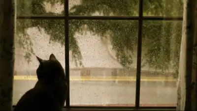 Zakon.kz, фото - Новости Zakon.kz от 26.05.2017 12:01