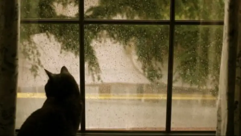 В пятницу в Казахстане ожидаются ветер и дожди