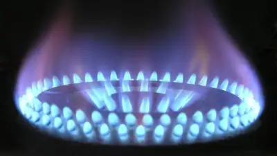 Газ в Ташкенте на отопление, фото - Новости Zakon.kz от 05.12.2022 09:48