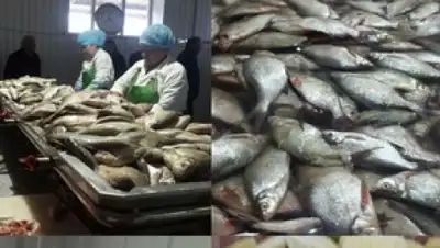 Zakon.kz, фото - Новости Zakon.kz от 15.05.2017 23:22