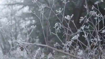 pxhere.com, фото - Новости Zakon.kz от 29.11.2019 11:43