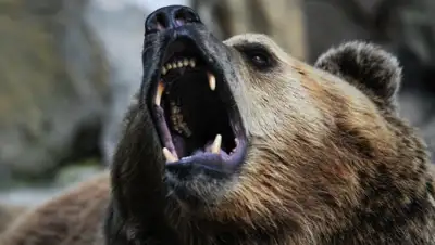 Zakon.kz, фото - Новости Zakon.kz от 14.10.2015 14:42