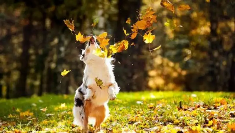 Ясная погода без осадков ожидается в Казахстане в четверг 22 сентября