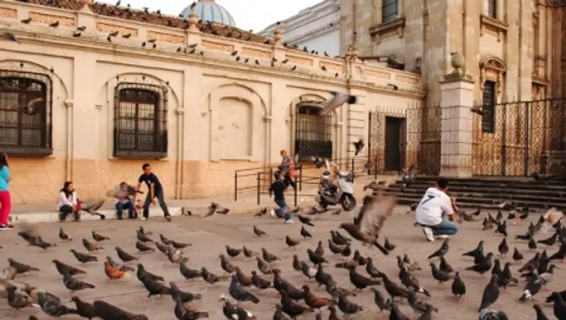 В ходе беспорядков в Гватемале ранены десятки человек