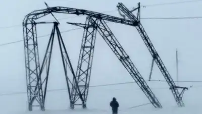 пресс-служба, фото - Новости Zakon.kz от 12.04.2020 14:58