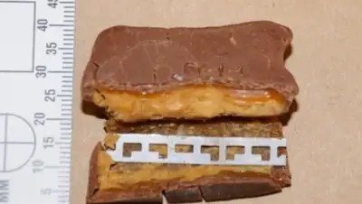 Zakon.kz, фото - Новости Zakon.kz от 03.11.2015 12:03