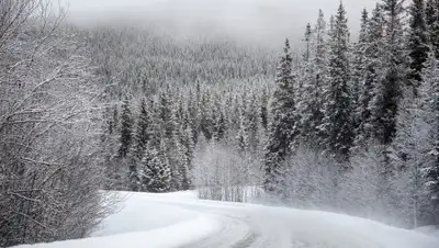 Pixabay, фото - Новости Zakon.kz от 18.02.2020 21:49