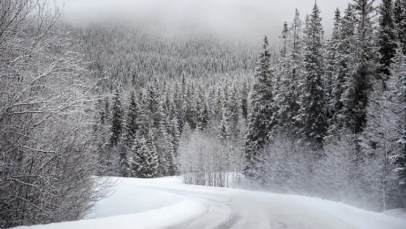 В каких областях закрыты дороги