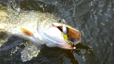 Zakon.kz, фото - Новости Zakon.kz от 17.07.2014 15:58