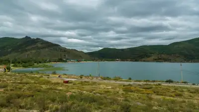 pavon.kz, фото - Новости Zakon.kz от 11.06.2020 14:00