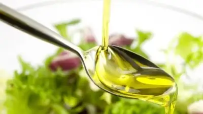 Zakon.kz, фото - Новости Zakon.kz от 27.04.2015 14:44