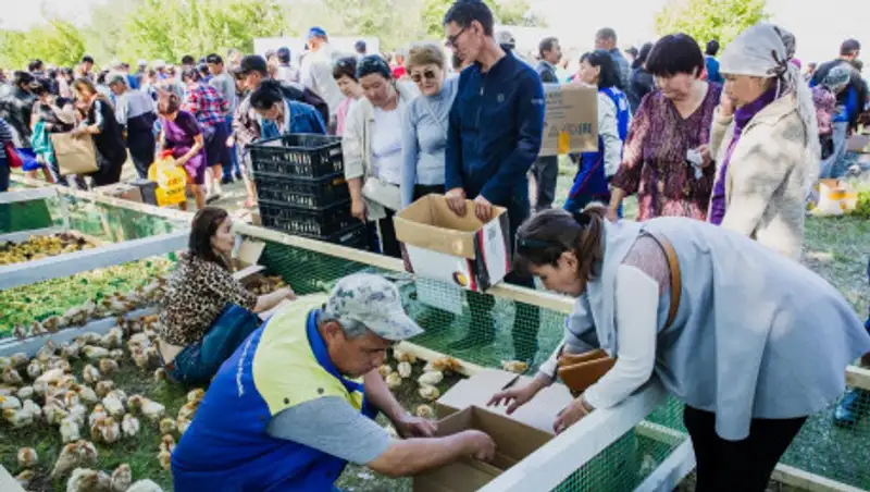 В ЗКО запущена программа "Отбасы бизнес"