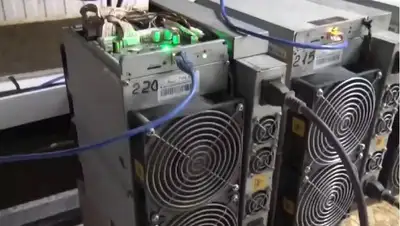 петропавловск, майнинговая ферма, афм, фото - Новости Zakon.kz от 21.02.2022 14:51