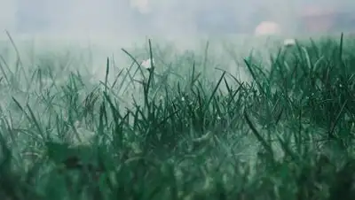 Pixabay, фото - Новости Zakon.kz от 02.11.2020 18:23