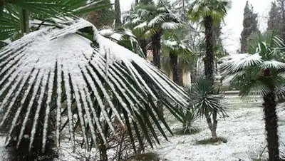 Zakon.kz, фото - Новости Zakon.kz от 30.08.2017 14:18