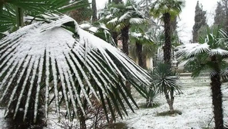 В Сочи выпал снег, за сутки образовалось несколько смерчей