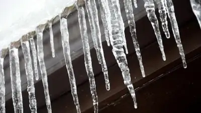 соцсети, фото - Новости Zakon.kz от 23.11.2018 15:02